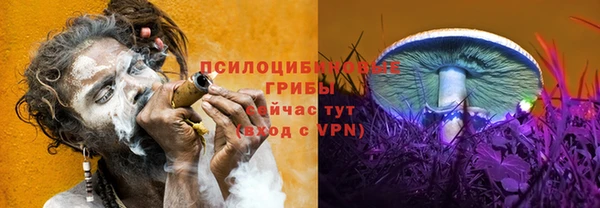 шишки Наволоки