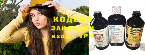 шишки Наволоки