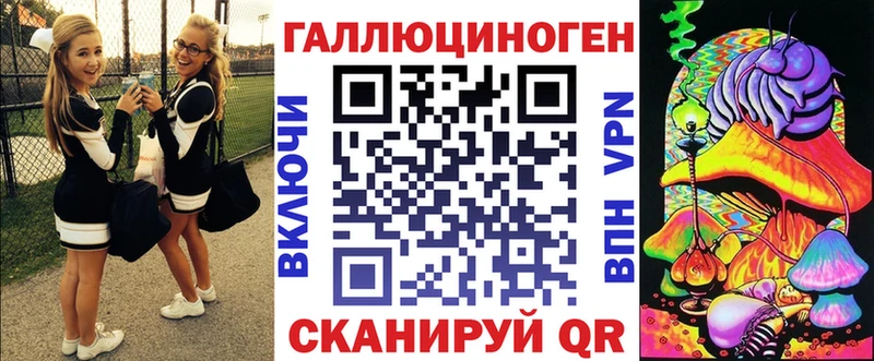 Галлюциногенные грибы Psilocybe  Клинцы 