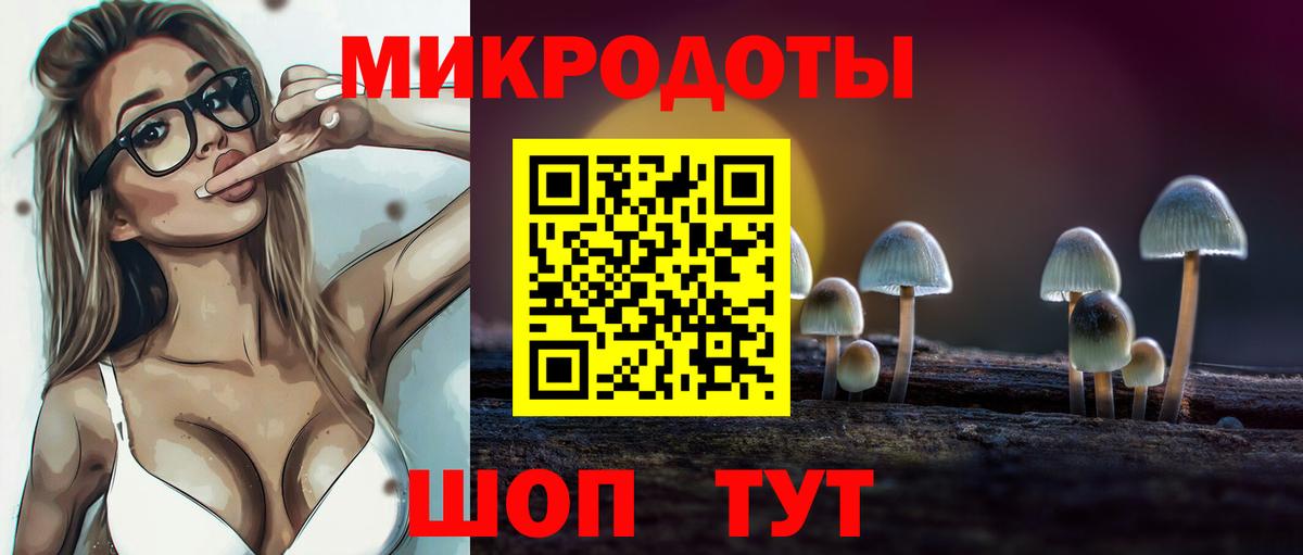 Клинцы  Псилоцибиновые грибы Cubensis  Вход с VPN 